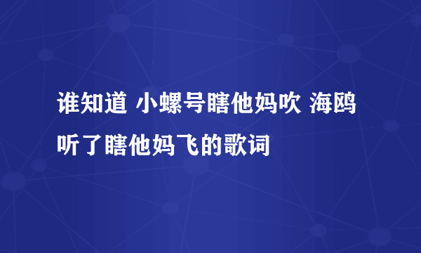 谁知道 小螺号瞎他妈吹 海鸥听了瞎他妈飞的歌词