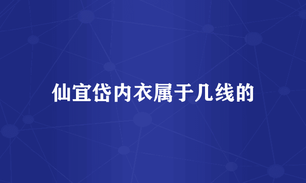 仙宜岱内衣属于几线的