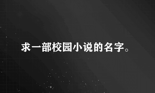 求一部校园小说的名字。