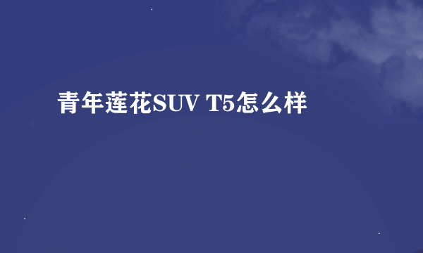 青年莲花SUV T5怎么样