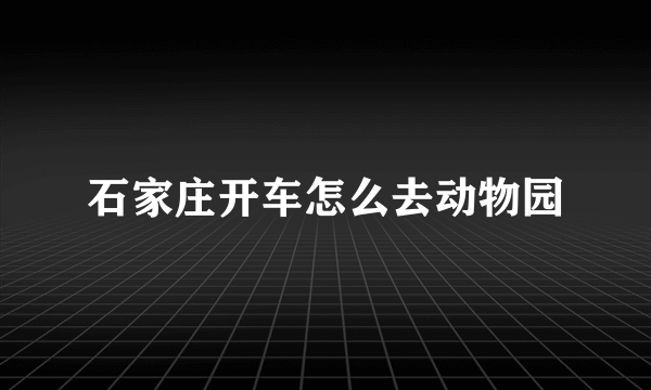 石家庄开车怎么去动物园