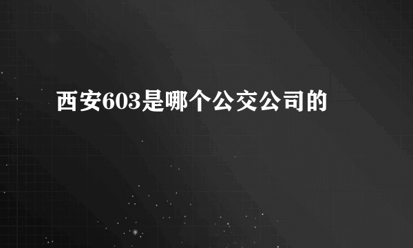 西安603是哪个公交公司的