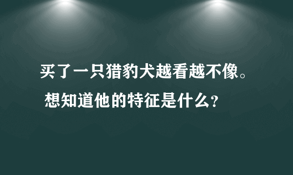 买了一只猎豹犬越看越不像。 想知道他的特征是什么？