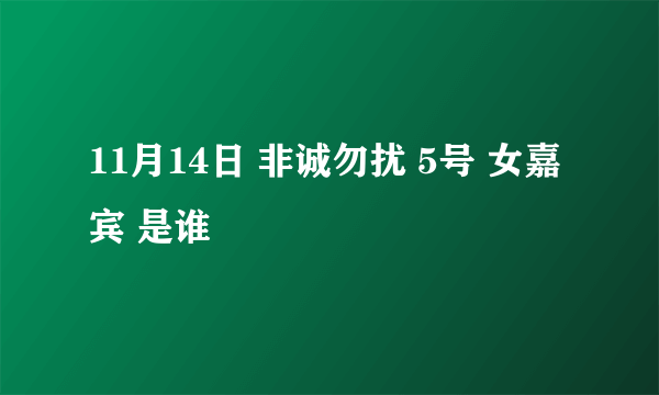 11月14日 非诚勿扰 5号 女嘉宾 是谁