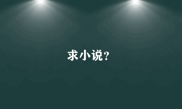 求小说？