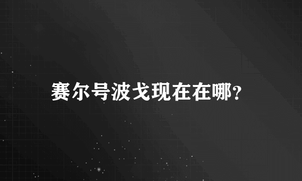 赛尔号波戈现在在哪？