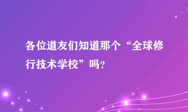 各位道友们知道那个“全球修行技术学校”吗？