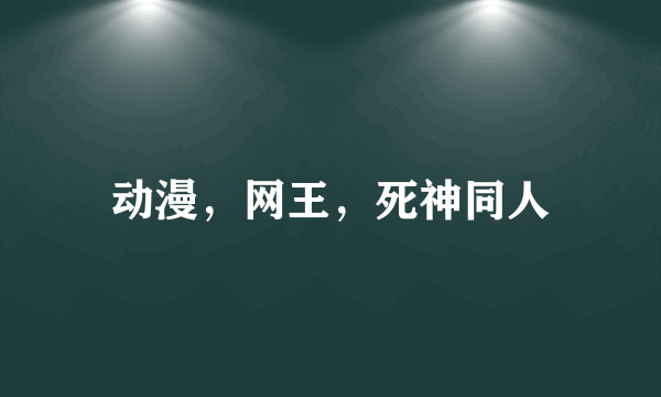 动漫，网王，死神同人