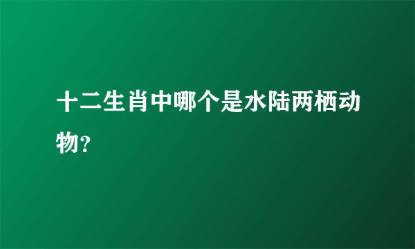 十二生肖中哪个是水陆两栖动物？