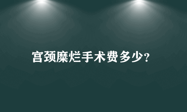 宫颈糜烂手术费多少？