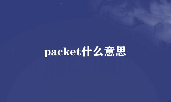 packet什么意思