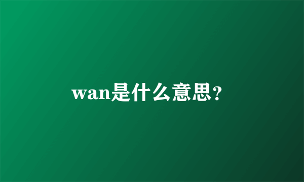 wan是什么意思？