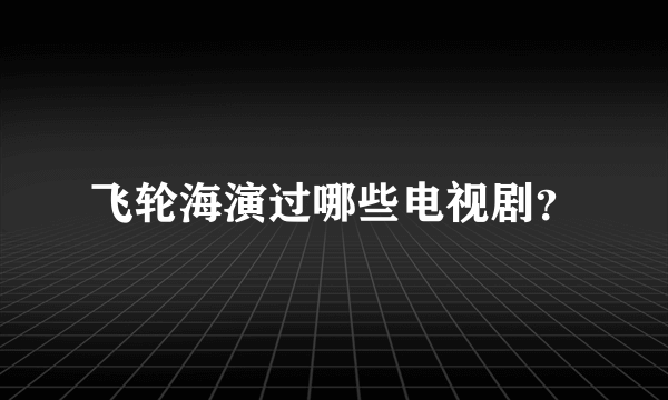 飞轮海演过哪些电视剧？