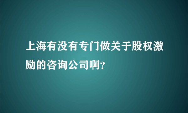 上海有没有专门做关于股权激励的咨询公司啊？