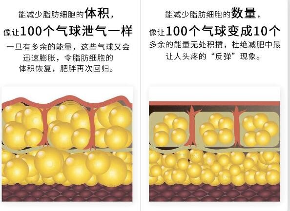 维密大模的偷懒减肥大法！一个月腰细了13厘米！是怎么回事？