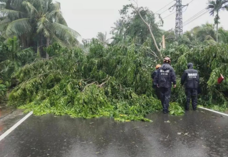 台风“圆规”已经登陆海南琼海，海南的风到底有多大？