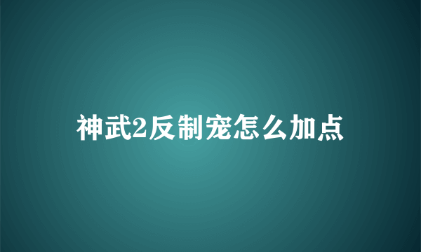 神武2反制宠怎么加点