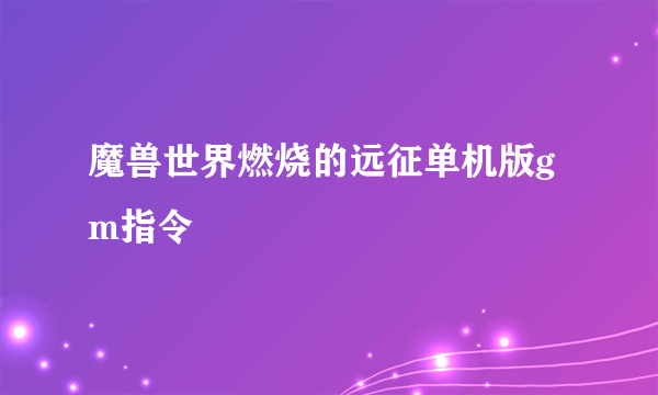 魔兽世界燃烧的远征单机版gm指令