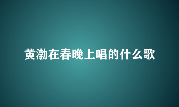 黄渤在春晚上唱的什么歌