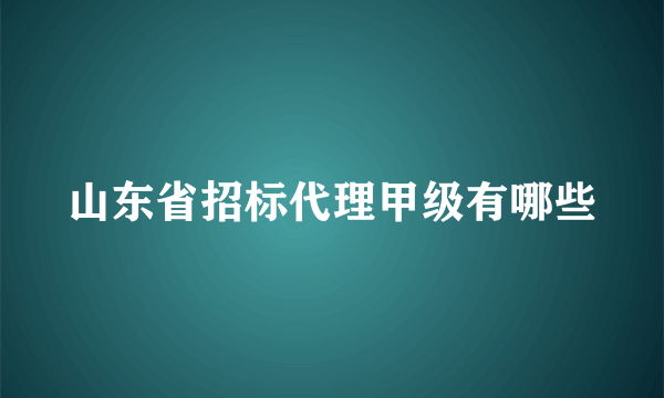 山东省招标代理甲级有哪些