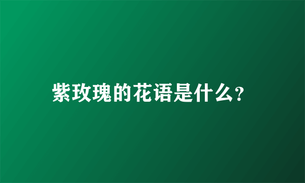 紫玫瑰的花语是什么？