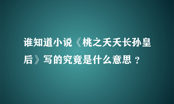 谁知道小说《桃之夭夭长孙皇后》写的究竟是什么意思 ？