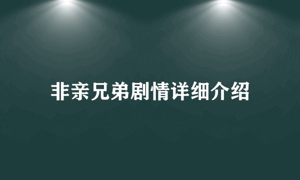 非亲兄弟剧情详细介绍