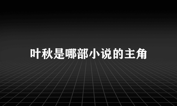 叶秋是哪部小说的主角