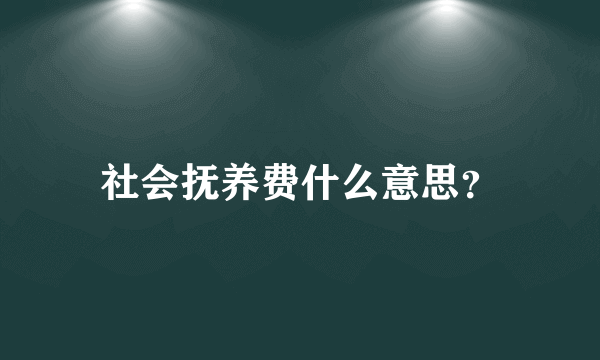 社会抚养费什么意思？