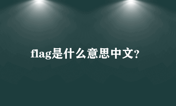 flag是什么意思中文？