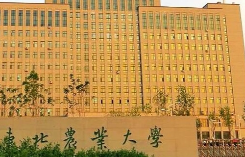 高考490分可以上什么大学