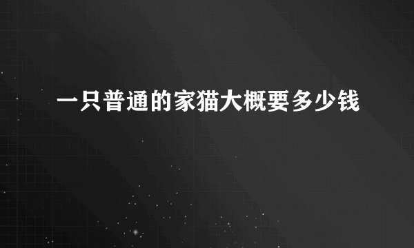 一只普通的家猫大概要多少钱