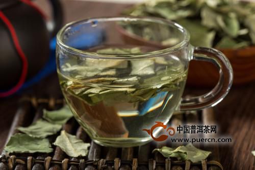 减肥效果最好的茶叶是什么茶?