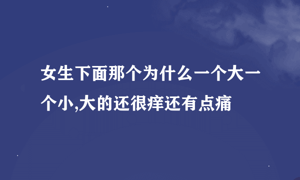 女生下面那个为什么一个大一个小,大的还很痒还有点痛