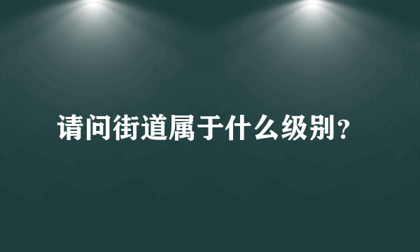 请问街道属于什么级别？