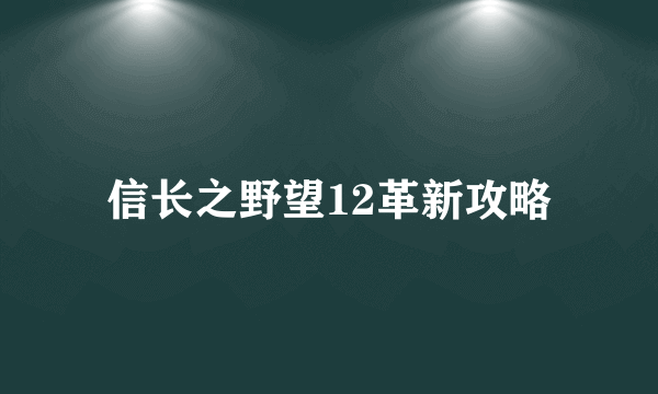 信长之野望12革新攻略