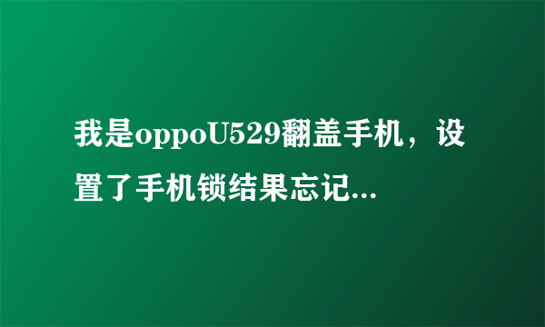 我是oppoU529翻盖手机，设置了手机锁结果忘记了，怎么办？