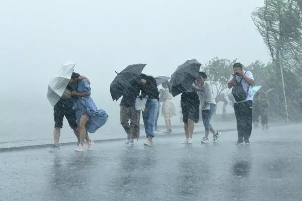 台风“圆规”已经登陆海南琼海，海南的风到底有多大？