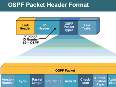 什么是OSPF?