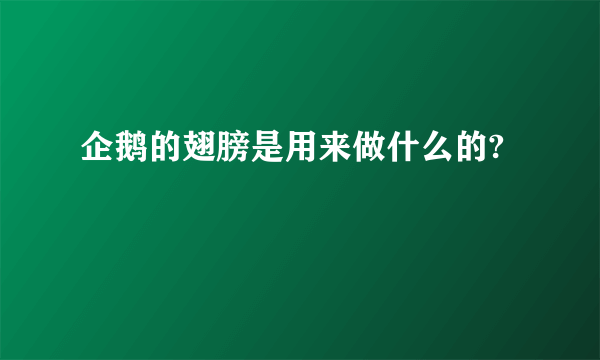 企鹅的翅膀是用来做什么的?