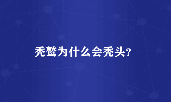 秃鹫为什么会秃头？