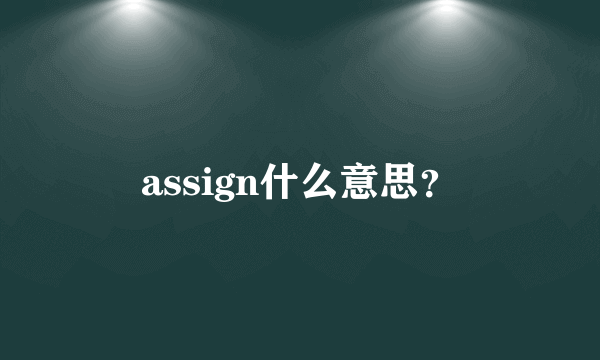 assign什么意思？