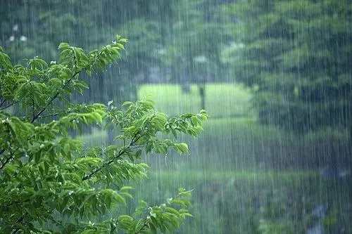 罗永浩在杭州的直播间被水淹了，一度中断了直播，杭州的暴雨有多大？