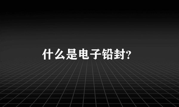 什么是电子铅封？