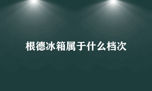 根德冰箱属于什么档次