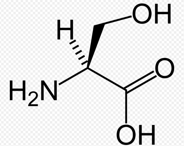 同系物的概念？