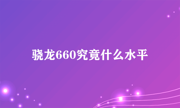 骁龙660究竟什么水平