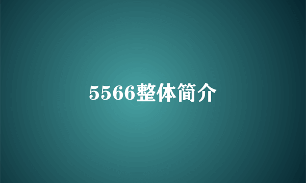 5566整体简介