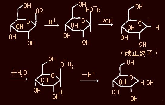 水解的解释是什么？