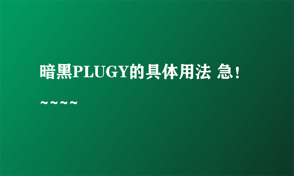 暗黑PLUGY的具体用法 急！~~~~